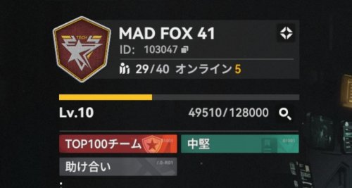 MAD FOX 41