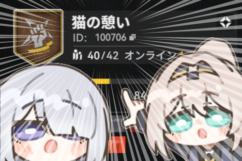 猫の憩い