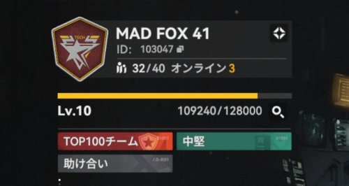 MAD FOX 41
